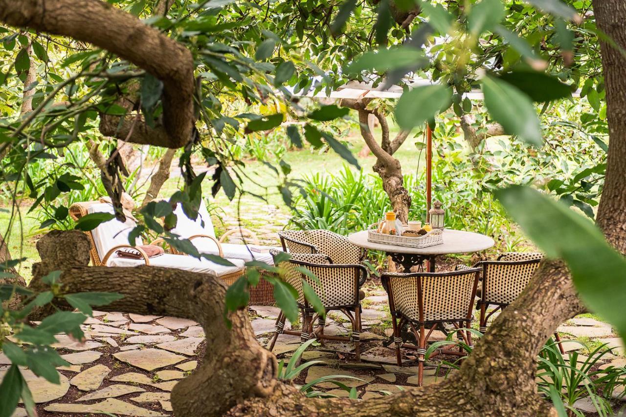 Homeforguest Cosy Rural Flat El Romero With Large Gardens タコロンテ エクステリア 写真