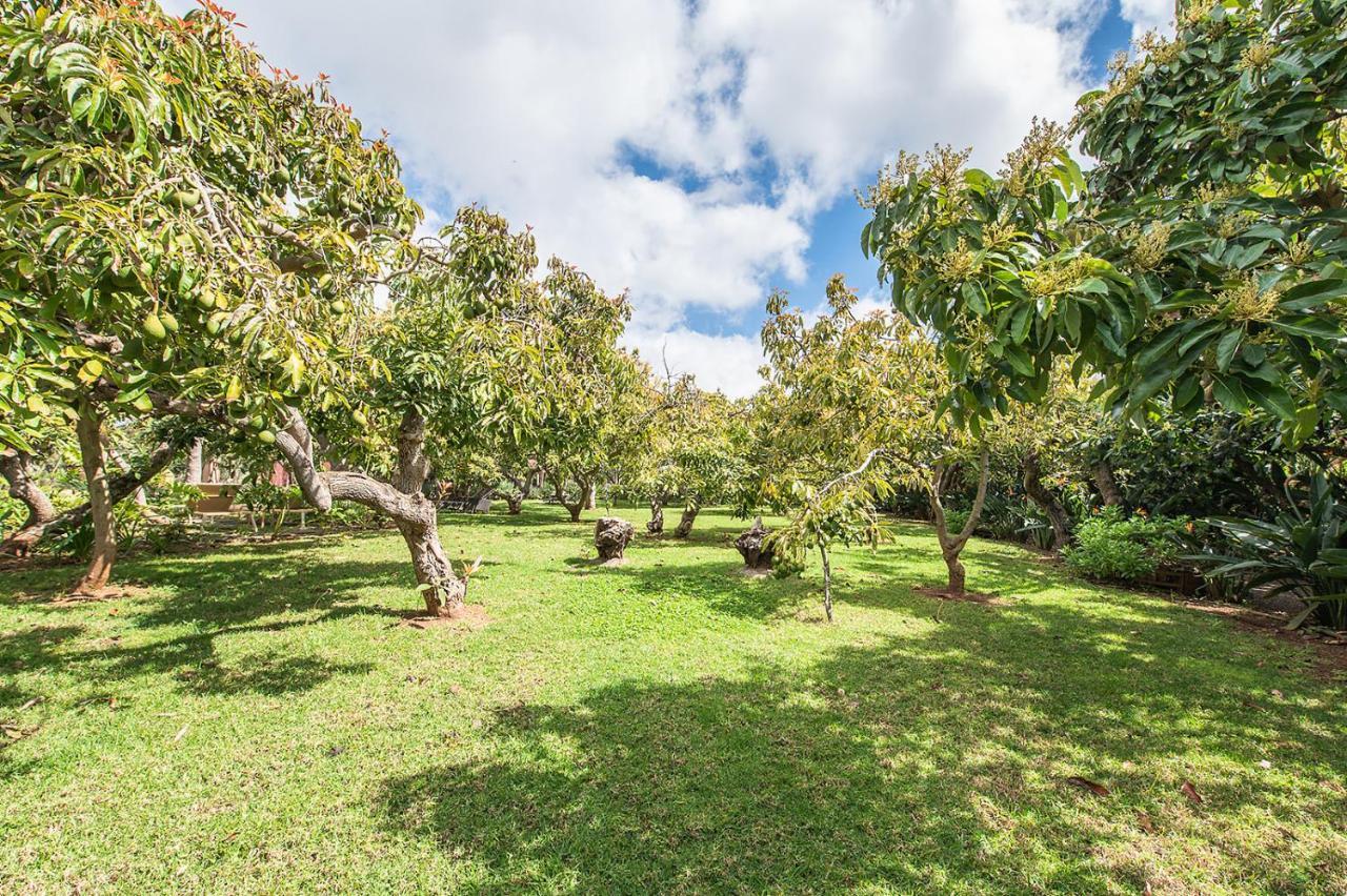 Homeforguest Cosy Rural Flat El Romero With Large Gardens タコロンテ エクステリア 写真