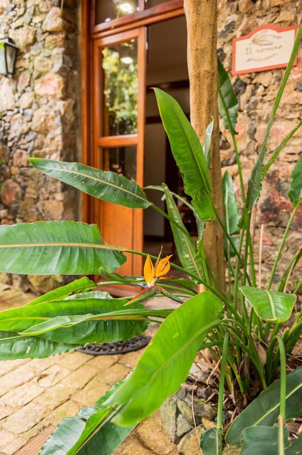 Homeforguest Cosy Rural Flat El Romero With Large Gardens タコロンテ エクステリア 写真